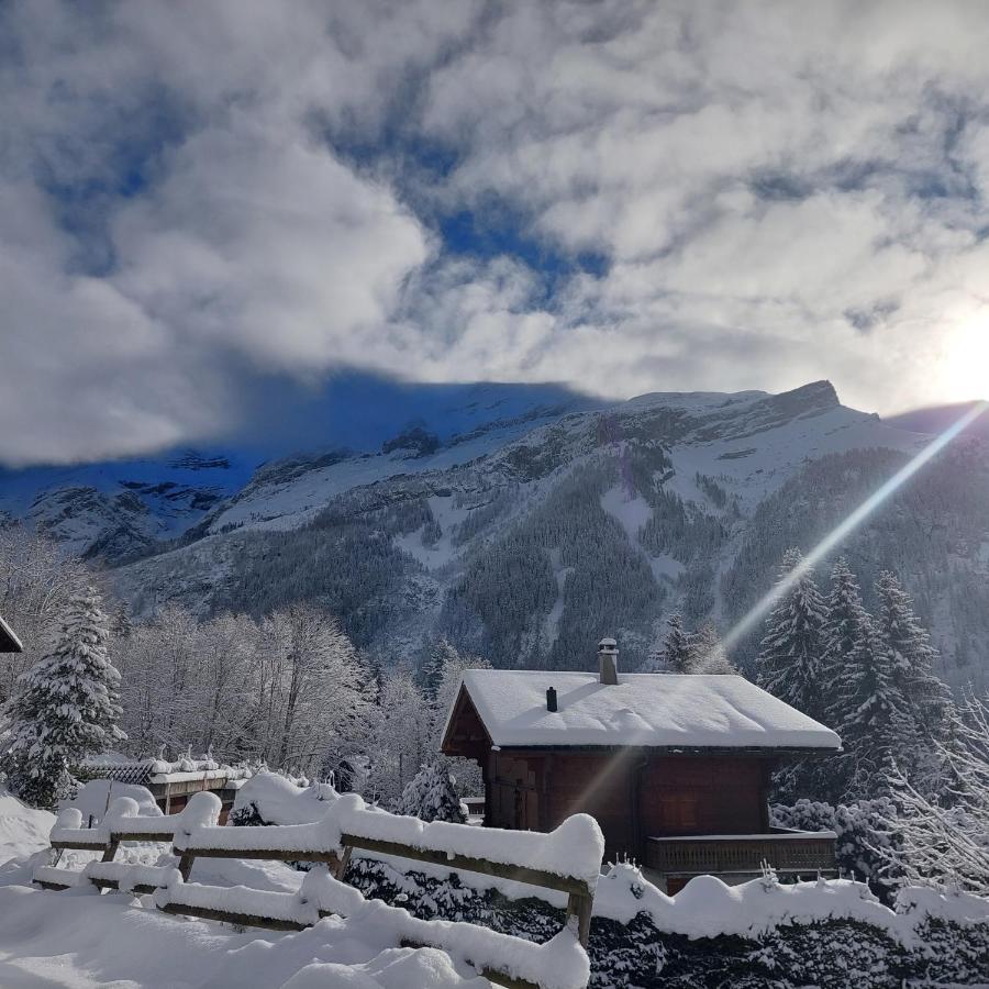 Chambre D'Hotes L'Ours Bleu เลส์ ดิอาเบลอเรต์ ภายนอก รูปภาพ